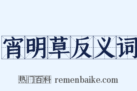 宵明草反义词是什么意思的图片